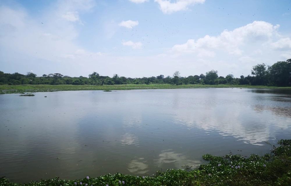 Nature Trails in Wilpattu Pictures