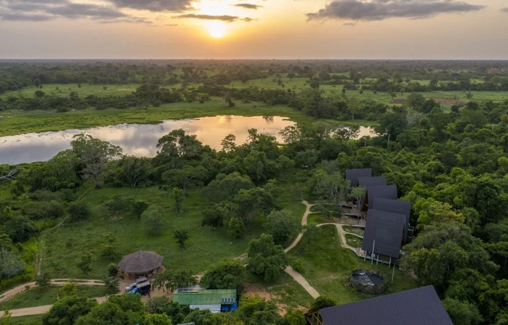 Image of Blog at Wilpattu Safari Resort